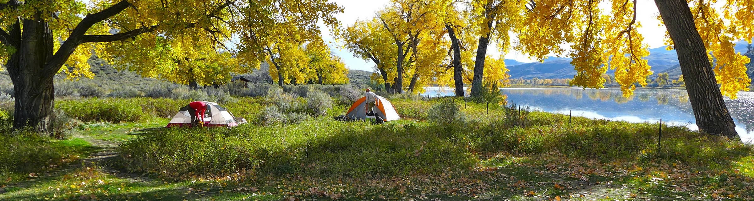 Escape to Montana's Wilderness: Your Guide to Jumping Creek Campground