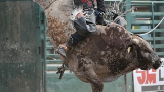 Little Belt Cowboys PRCA (Belt PRCA Rodeo) : Event Image