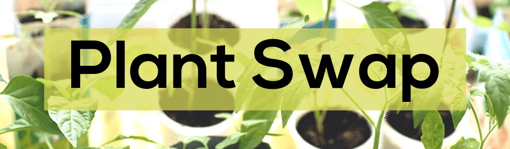 Lewistown Annual Community Plant Swap : Event Image