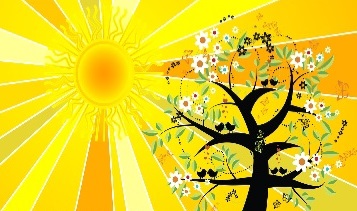 Summer Solstice Arts and Crafts Show