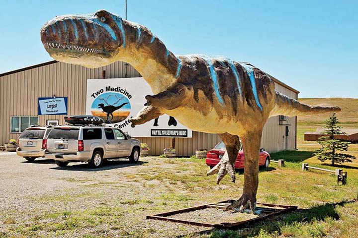 The Montana Dinosaur Center, Bynum