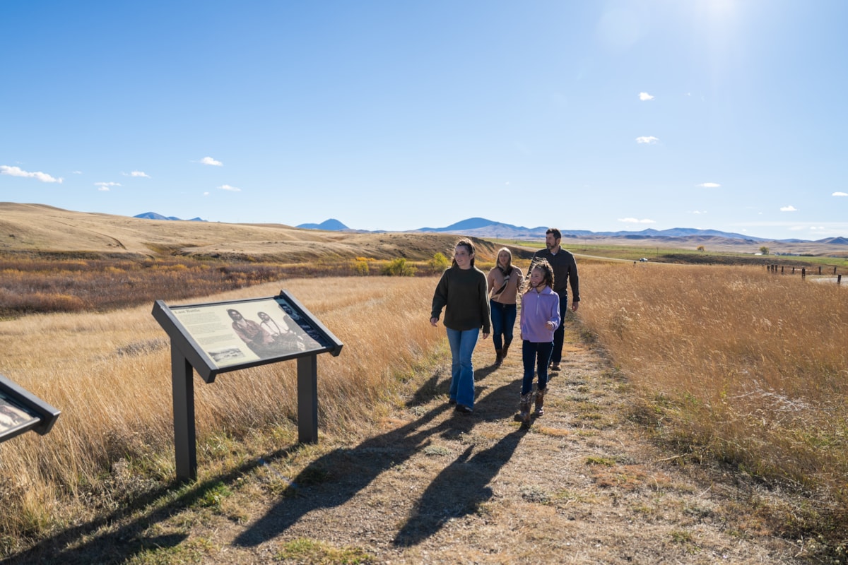 Bear Paw BattleField