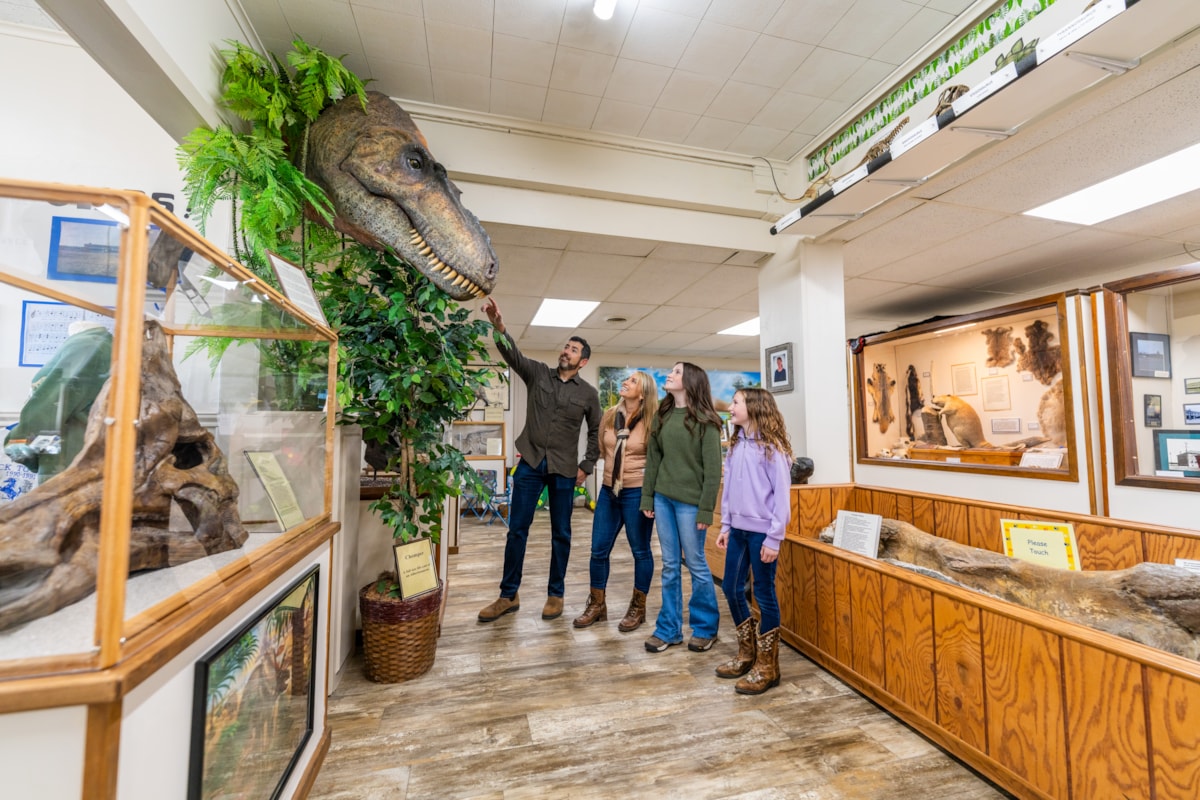 Dinosour head at the H. Earl Clack Museum