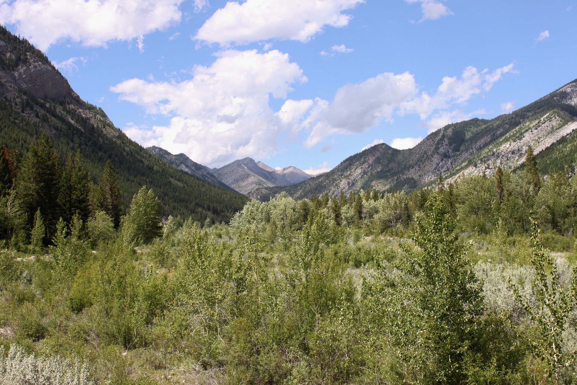 Rocky Mountain Front