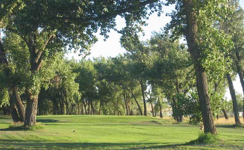 Prairie Farms Golf Course: golf course