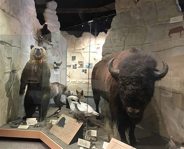 Lewis & Clark Foundation: 