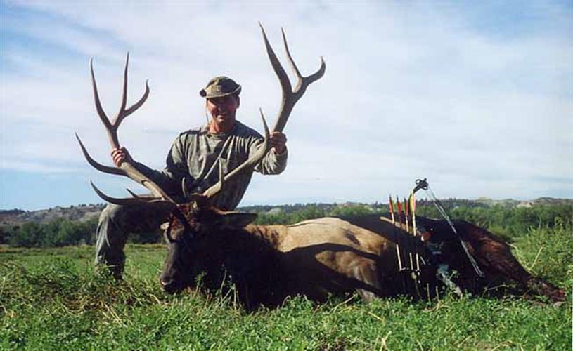 Fort Musselshell Outfitters: bow hunter and elk