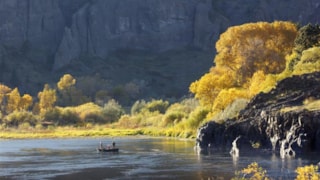 The Trout Shop Lodge: 