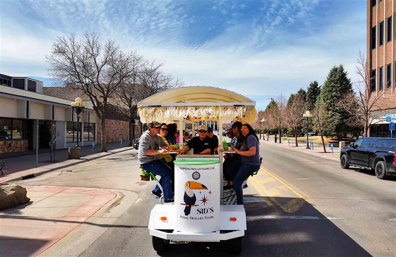 SIDS Pedal Trolley Tours: 