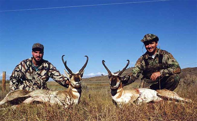 Fort Musselshell Outfitters: antelope
