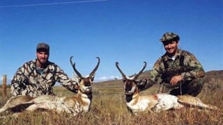 Fort Musselshell Outfitters: antelope