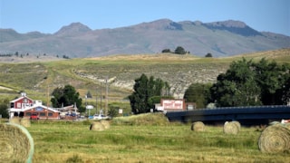 The Trout Shop Lodge: 