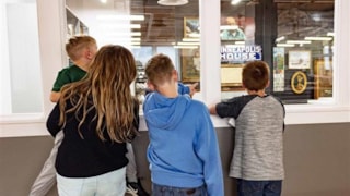 The History Museum: 