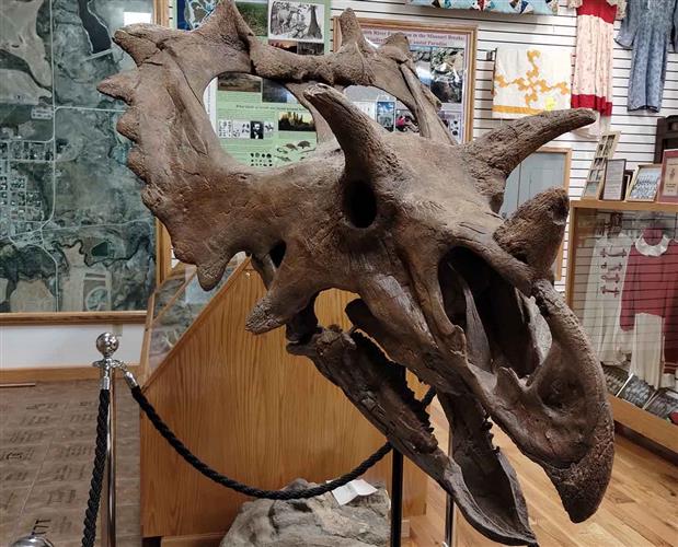 Winifred Museum: 