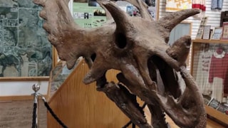 Winifred Museum: 