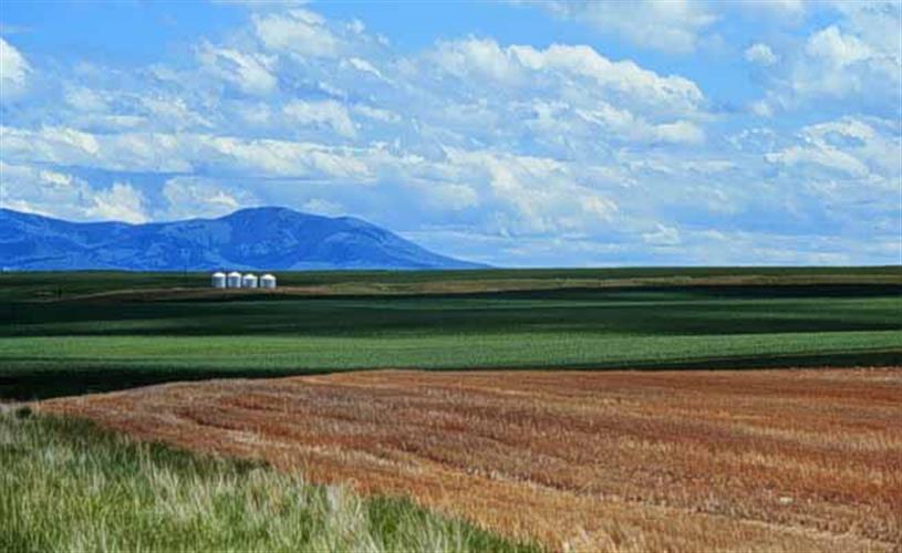 Choteau Chamber of Commerce: Beautiful Landscape