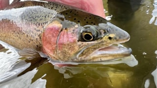 On DeMark Lodge: 